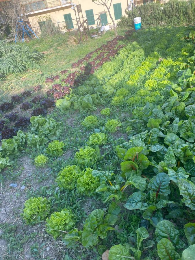 因佩里亚Agriturismo A Ca Du Cappellan别墅 外观 照片